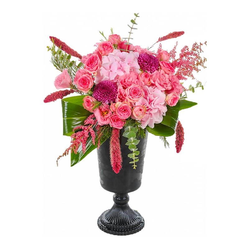 Pink Hydrangea Glow orkide