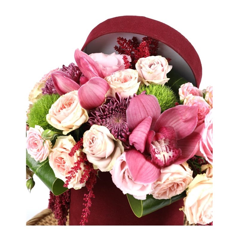 Pastel Pillow & Tropical Wild