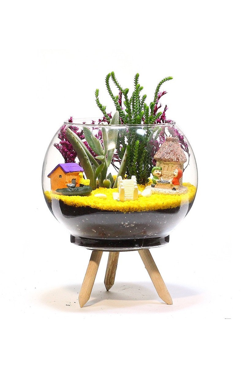 Ayaklı Saksıda Teraryum